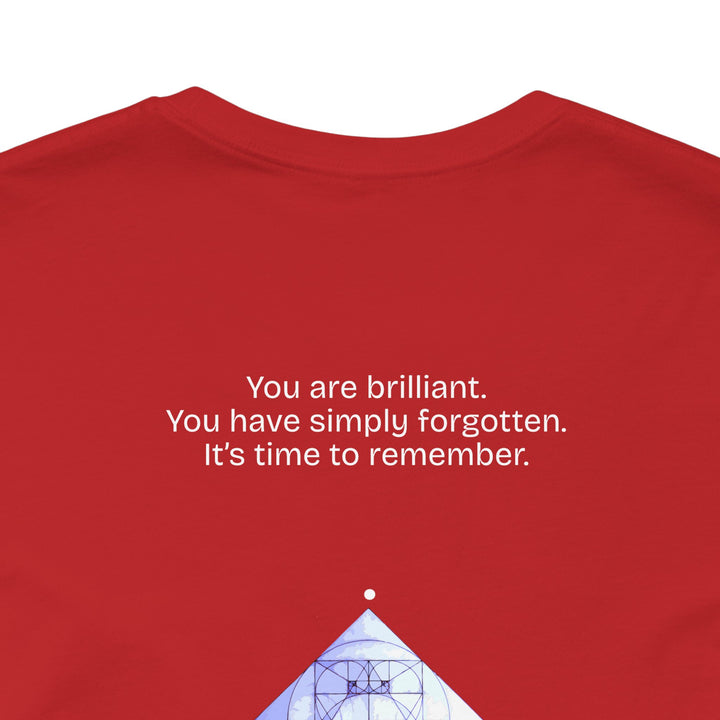 You are brilliant.  You have simply forgotten.  It’s time to remember.