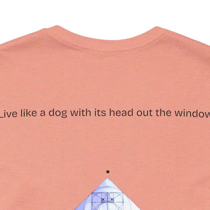 Live like a dog with its head out the window.