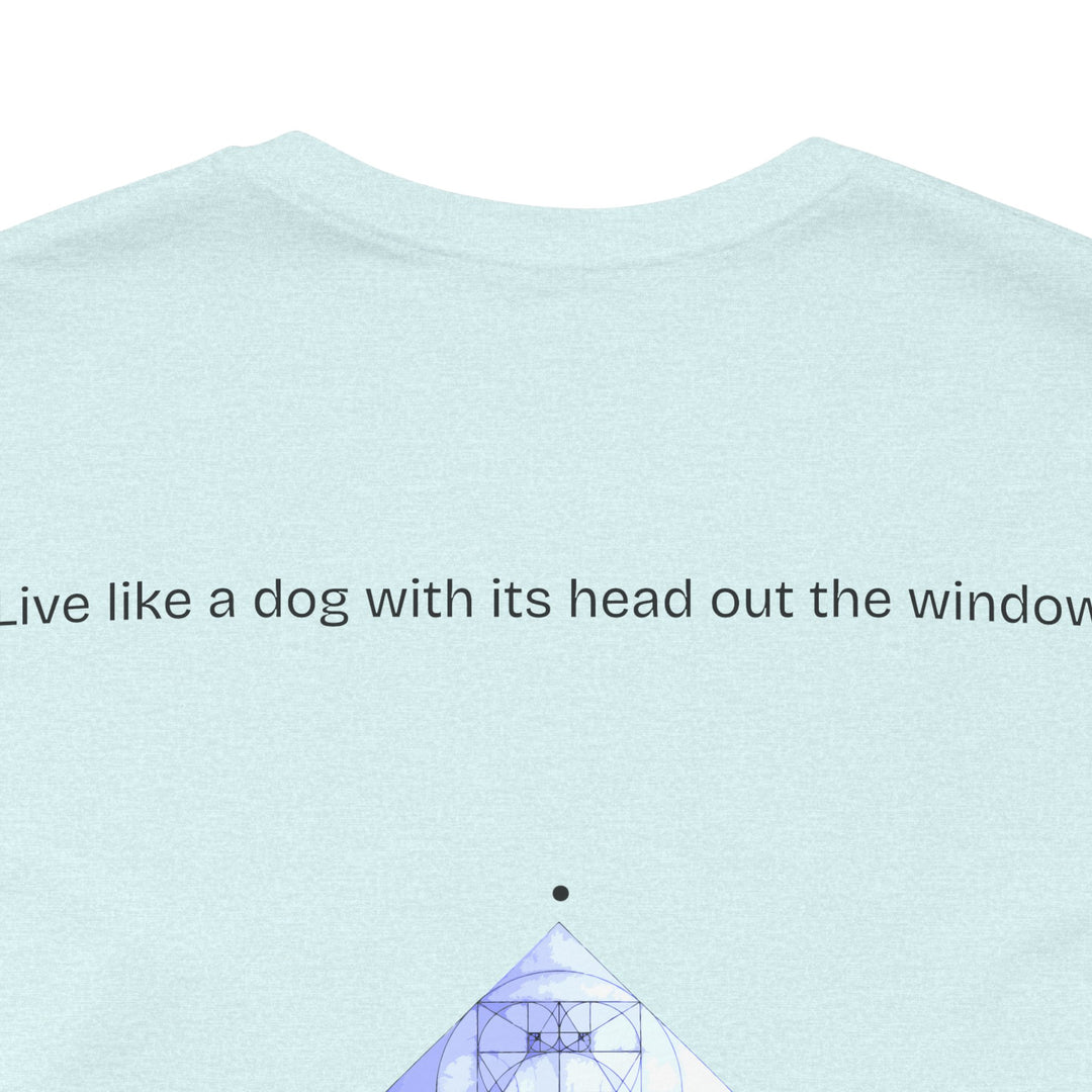 Live like a dog with its head out the window.