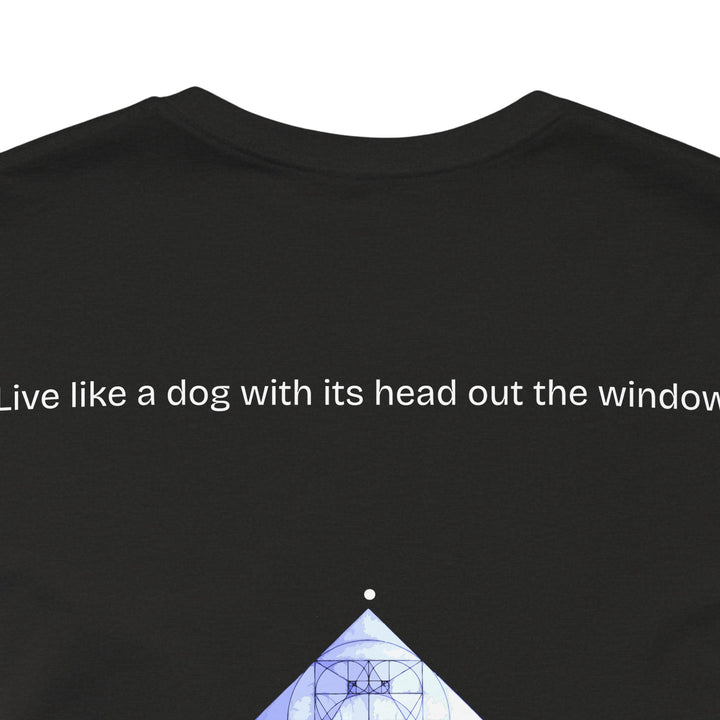 Live like a dog with its head out the window.